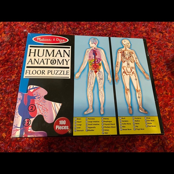 melissa and doug human body